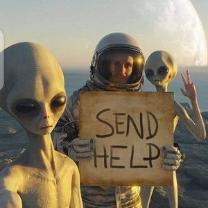 Meet your Posher, Corrinne